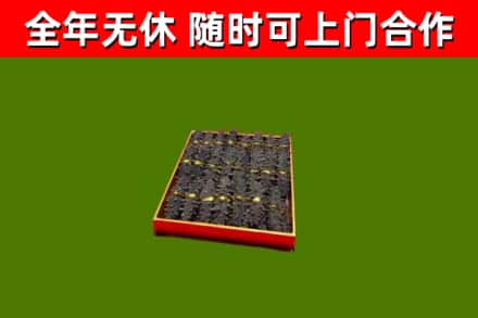 汕头市回收海参